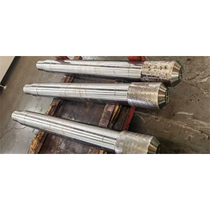 Поршневый прутень